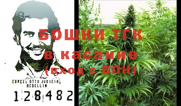 ПСИЛОЦИБИНОВЫЕ ГРИБЫ Верхний Тагил