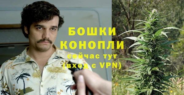 spice Волосово