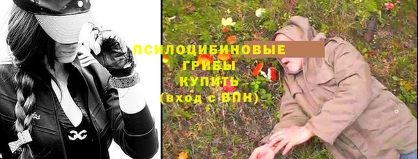 ПСИЛОЦИБИНОВЫЕ ГРИБЫ Верхний Тагил