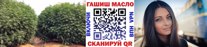 Купить где  Советская Гавань  Дистиллят ТГК гашишное масло 