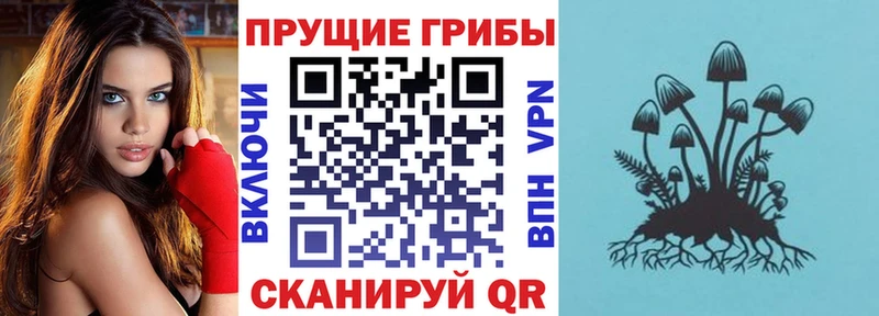Галлюциногенные грибы прущие грибы Купить где Советская Гавань